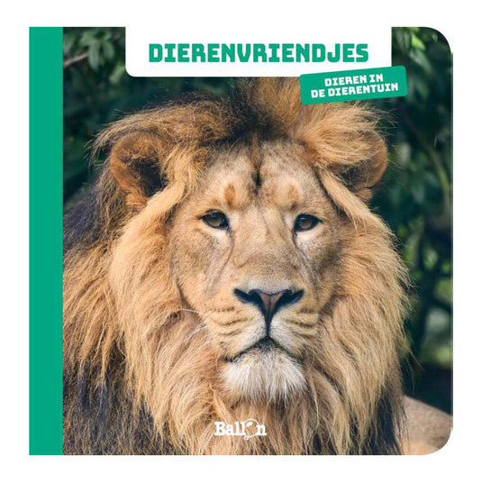 Wins holland dierenvriendjes - fotokijkboek dieren in de dierentuin