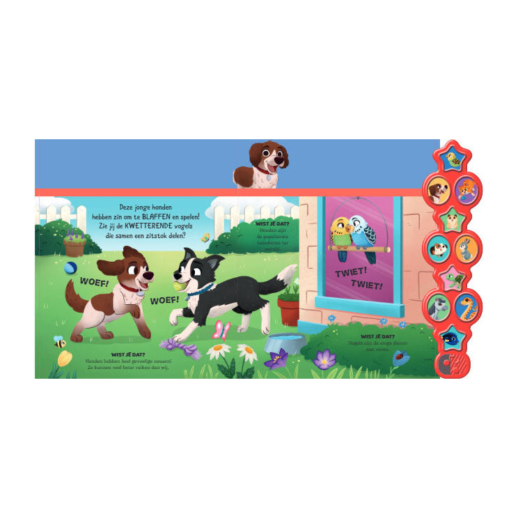 Afbeelding laden in galerijviewer, Rebo publishers huisdieren - 10 geluidenboek
