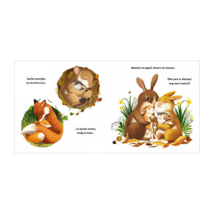 Load image into Gallery viewer, Rebo publishers grote knuffels voor kleine beer
