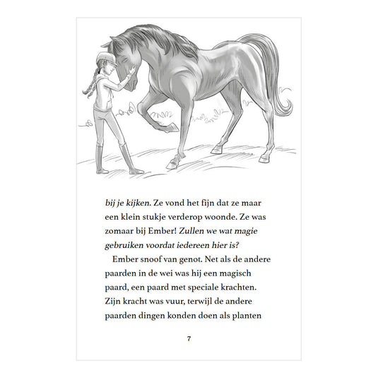 Rebo publishers moonlight riders 2 - stormpaard