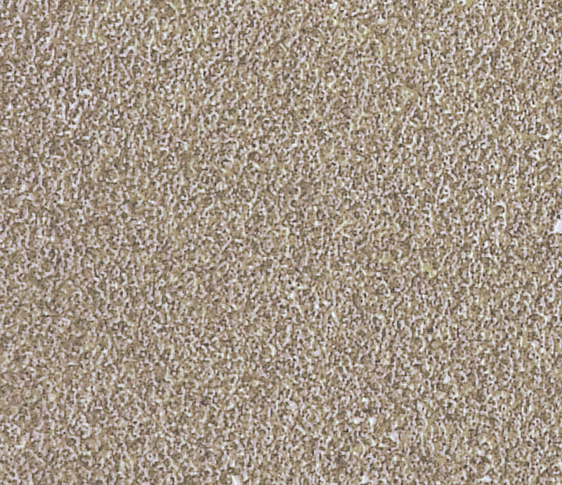 Load image into Gallery viewer, Ranger ink ranger • tim holtz distress mini ink pad frayed burlap
