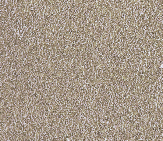 Ranger ink ranger • tim holtz distress mini ink pad frayed burlap