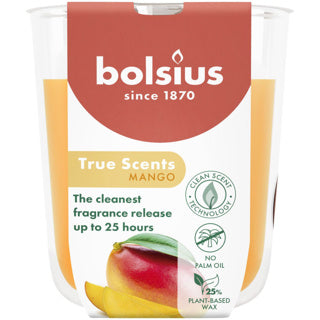 Bolsius | 3 stuks