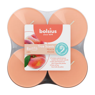 Bolsius maxilichten clear cup 8u true scents peach | 3 stuks