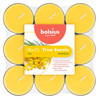 Bolsius geurtheelichten 4u true scents mimosa | 4 stuks