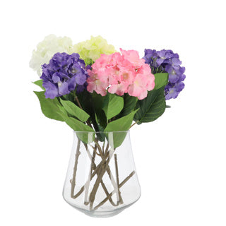 ギャラリービューアに画像をロードする, No brand hortensia single l 84cm | 12 stuks
