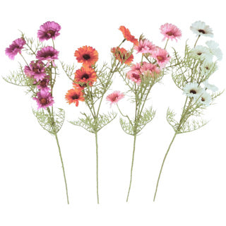 Margriet 74cm l 4 assorti kleur | 6 stuks