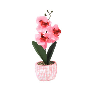 No brand kunst orchidee in pot 28 cm 6 assorti