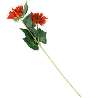 Chargez l'image dans la visionneuse de la galerie, No brand | 6 stuks
