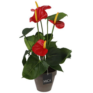 Load image into Gallery viewer, Edelman kunstplant anthurium rood in pot
