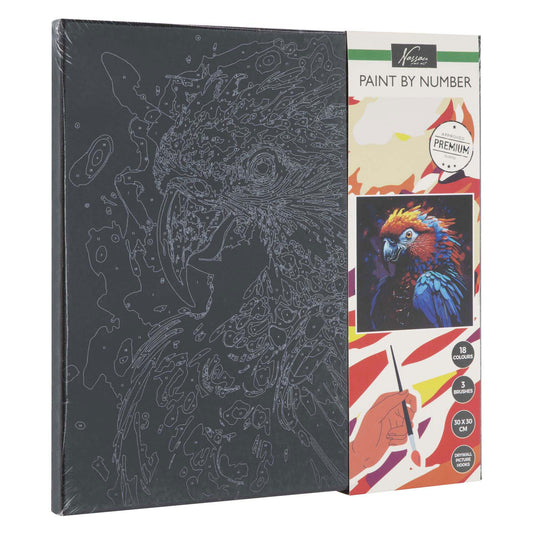 Nassau schilderen op nummer papegaai 30x30cm