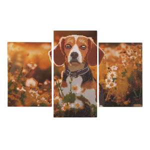 Creative craft group diamond painting drieluik set - hond