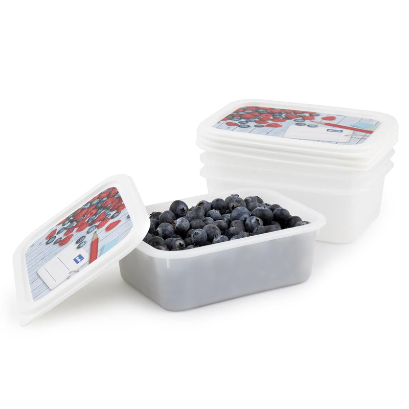 Load image into Gallery viewer, Rotho diepvriesdozenset 4-delig 0,5l
