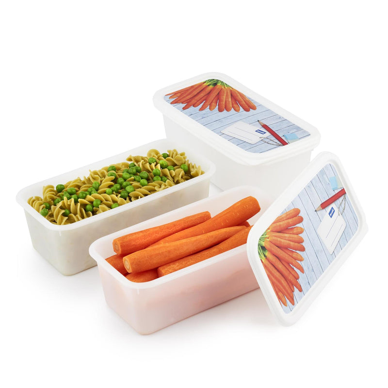 Load image into Gallery viewer, Rotho diepvriesdozenset 3-delig 1,2l
