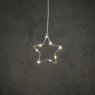 Edelman ster zilver warm wit 8led battery operated - d15cm