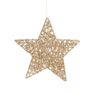 Edelman ornament ster champagne - d25cm | 6 stuks