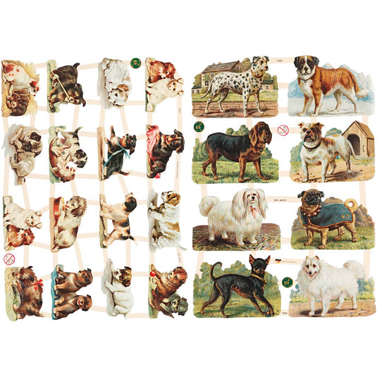 Vintage plaatjes, honden, vel 16,5x23,5 cm, 2 vel 1 doos