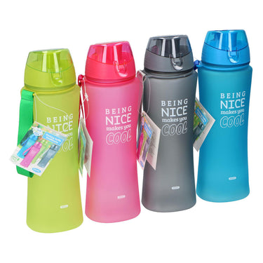 Drinkfles kleur, 650ml