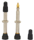 Quaxar tubeless valve universal