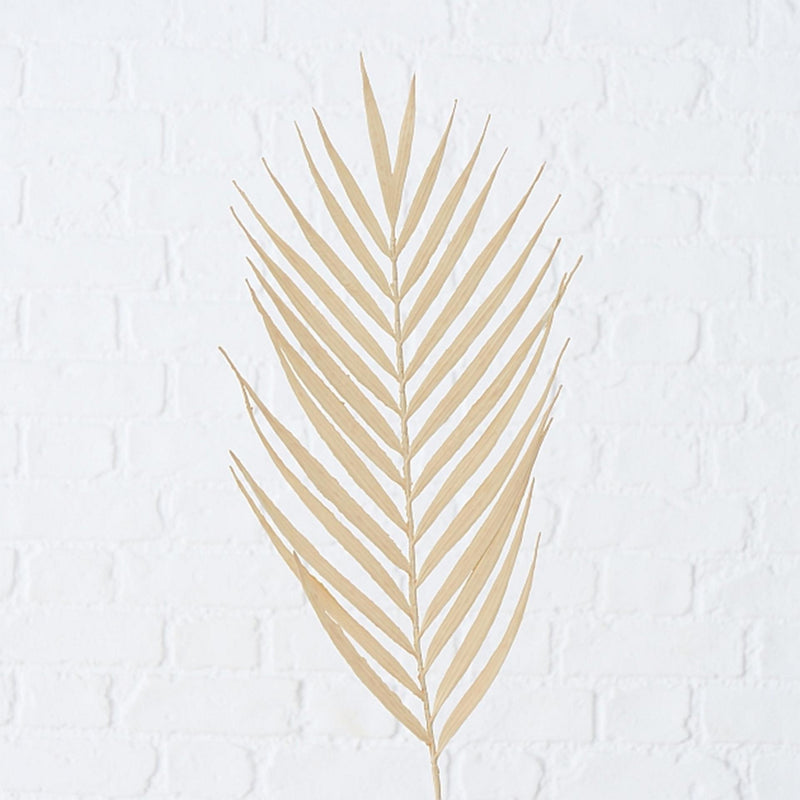 Load image into Gallery viewer, Boltze home kunsttak decotak 90cm palmblad naturel
