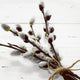 Duni servetten wild willow 33x33cm