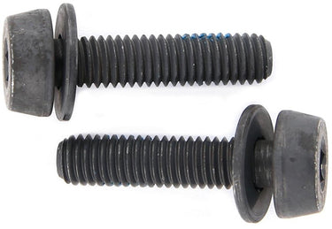 Campagnolo mounting bolts for disc brakes (pack of 2) | 19 mm