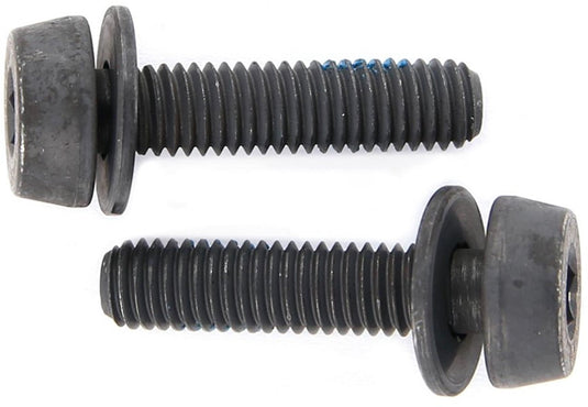 Campagnolo mounting bolts for disc brakes (pack of 2) | 19 mm