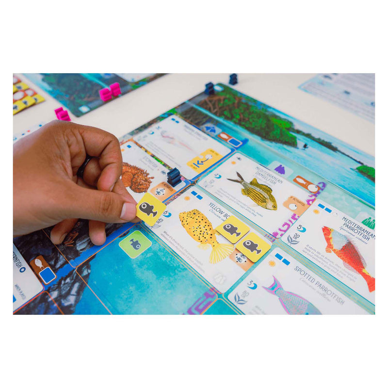 Load image into Gallery viewer, 999games 999 games finspan bordspel
