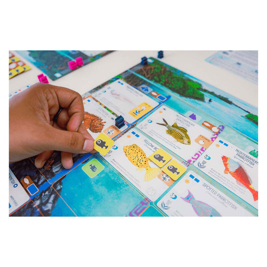 999games 999 games finspan bordspel