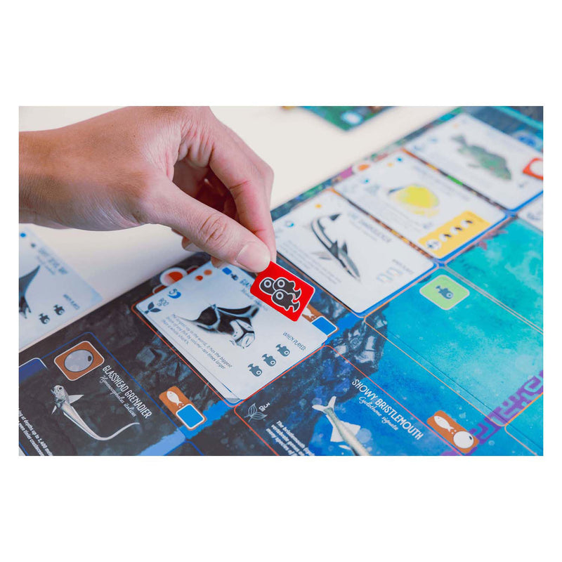 Load image into Gallery viewer, 999games 999 games finspan bordspel (nederlands, 1 - 5 spelers, 60 minuten, vanaf 10 jaar)
