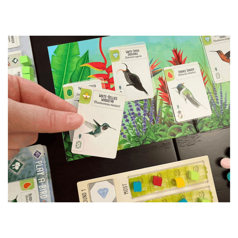 Chargez l'image dans la visionneuse de la galerie, 999games 999 games wingspan: midden- en zuid-amerika bordspel (uitbreiding, nederlands, 1 - 5 spelers, 40 - 70 minuten, vanaf 10 jaar)
