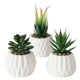 Boltze home kunstplant vetplant in pot wit h15cm