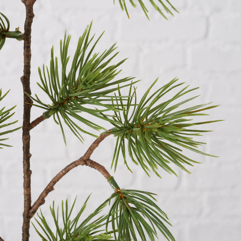 Afbeelding laden in galerijviewer, Boltze home decoratietak dennen groen h55cm
