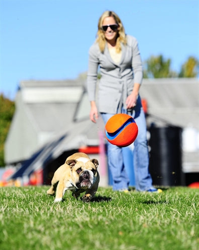 Load image into Gallery viewer, Chuckit kick fetch
