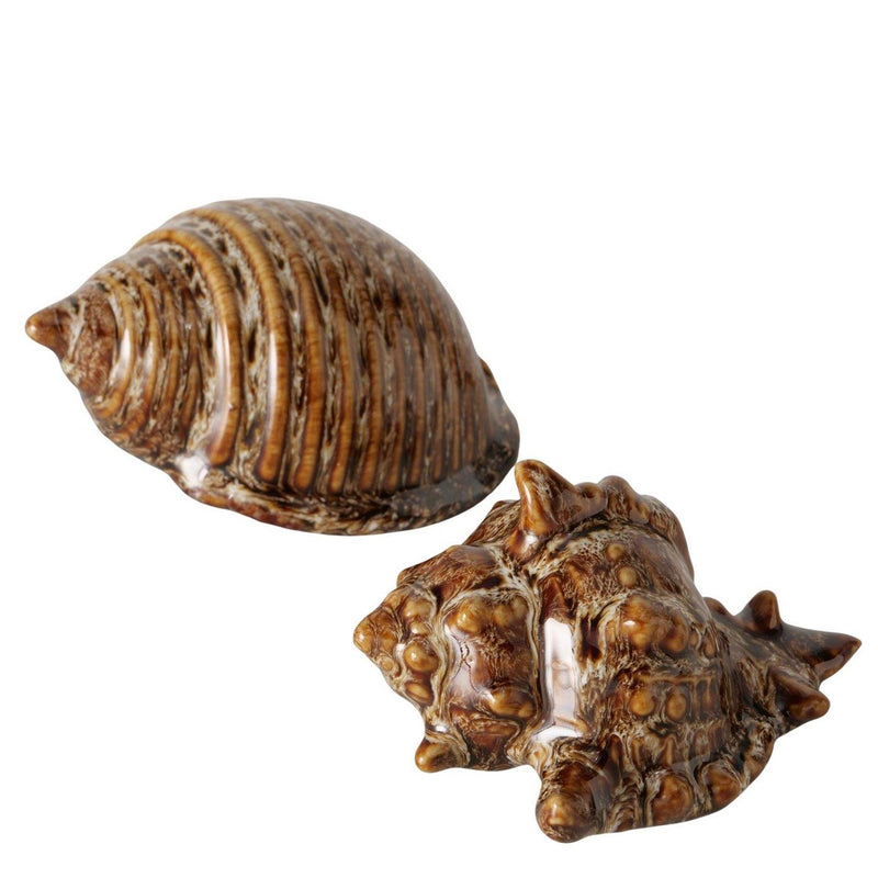 Load image into Gallery viewer, Boltze home deco schelp keramiek 10x5cm
