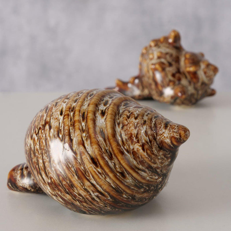 Load image into Gallery viewer, Boltze home deco schelp keramiek 10x5cm
