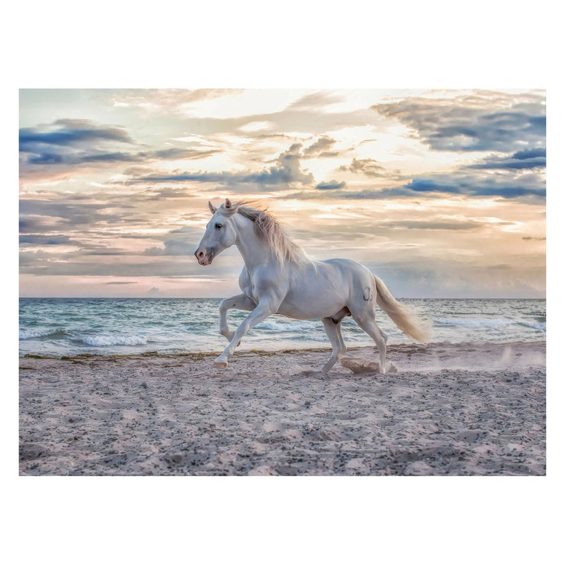 Load image into Gallery viewer, Ravensburger Paard op het Strand Legpuzzel 500st.
