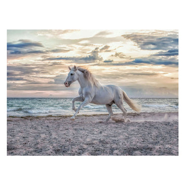 Ravensburger puzzel paard strand - 500 stukjes legpuzzel dieren.