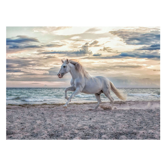 Ravensburger puzzel paard strand - 500 stukjes legpuzzel dieren.