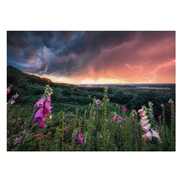 Load image into Gallery viewer, Ravensburger legpuzzel ein sturm zieht auf, 1000st.
