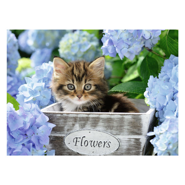 Load image into Gallery viewer, Ravensburger legpuzzel xxl klein katje, 300st.

