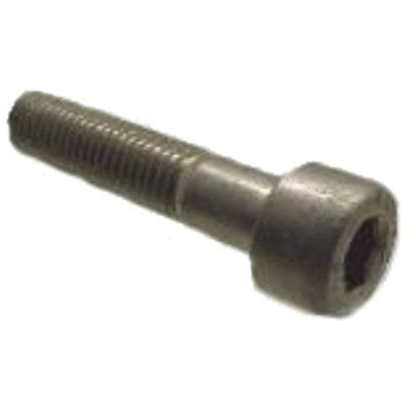 Load image into Gallery viewer, Bofix inbusbout m8 x 40 rvs voor zadelpen (12 stuks)
