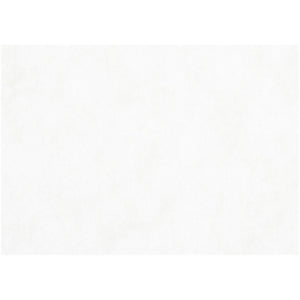 Https: www.cchobby.nl aquarelpapier-a3-vel-297x420-mm-200-gr-wit-100-vel-1-doos-22403