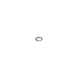 Bofix Tandveerring M6 Rvs (P100)