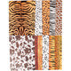 Diermotieven karton, a4, vel 210x297 mm, 300 gr, 100 vel 1 doos