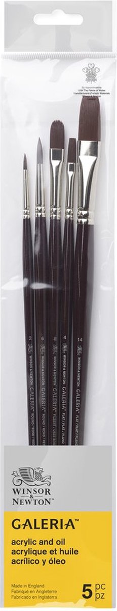 Winsor newton 5790611 galeria acrylpenseel set – 5 penselen met lange steel voor acrylschilderen ( rond 2, rond 6, plat 4, plat 14, filbert 8 )