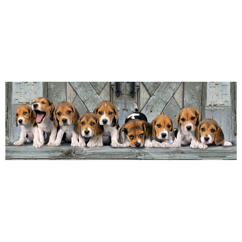Afbeelding laden in galerijviewer, Clementoni panorama puzzel beagles, 1000st.
