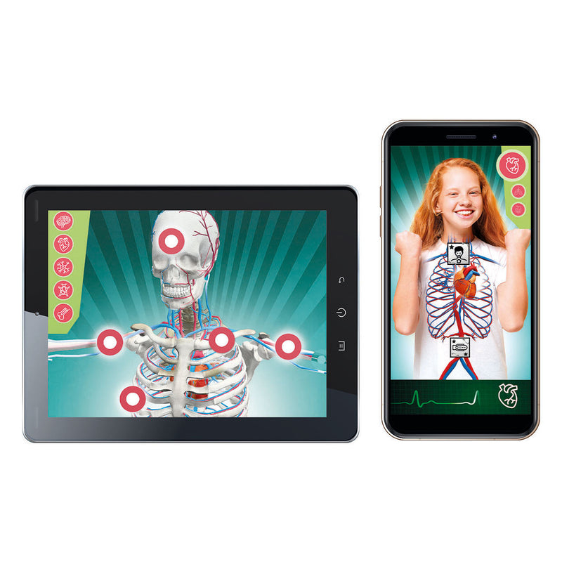 Chargez l'image dans la visionneuse de la galerie, Clementoni wetenschap en spel - super anatomie
