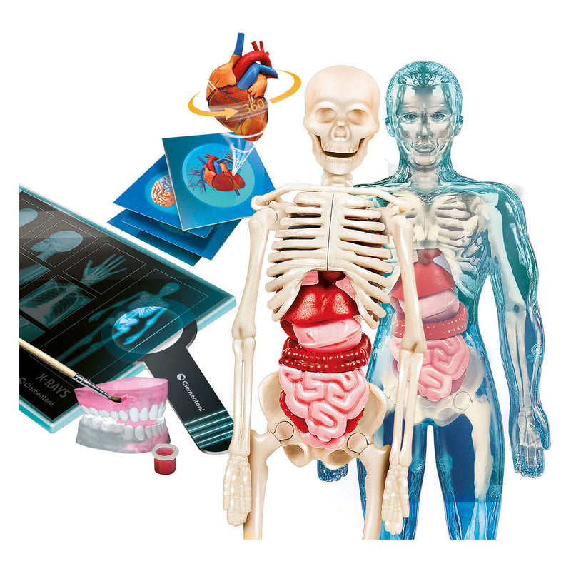 Chargez l'image dans la visionneuse de la galerie, Clementoni wetenschap en spel - super anatomie
