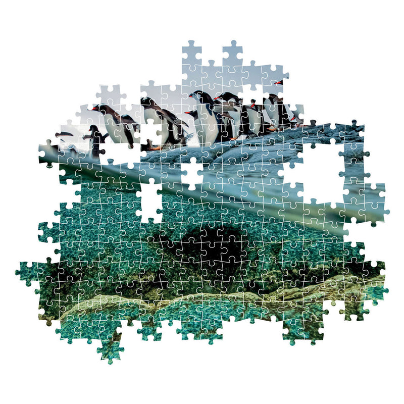 Load image into Gallery viewer, Clementoni Legpuzzel National Geographics - Penguin, 1000st.
